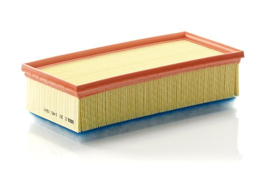 Filtr Powietrza C 31 145