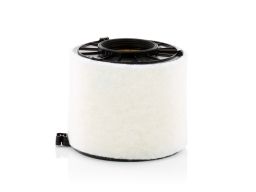 Filtr Powietrza C 17 011