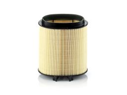 Filtr Powietrza C 1869