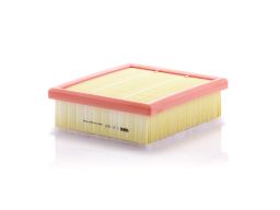 Filtr Powietrza C 21 002