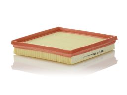 Filtr Powietrza C 22 038