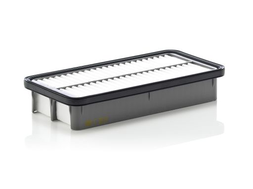 Filtr Powietrza C 2519