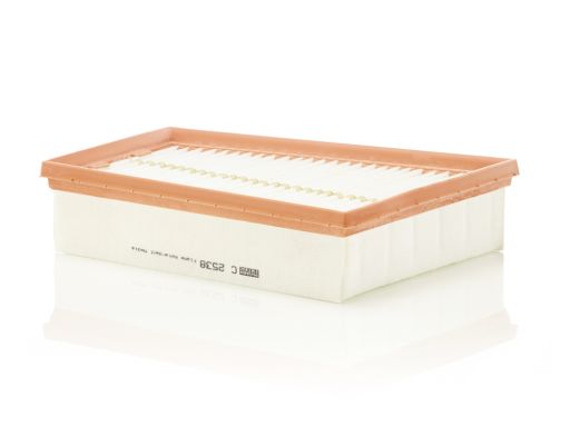 Filtr Powietrza C 2538