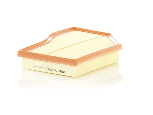 Filtr Powietrza C 30 030