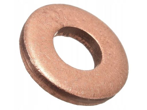 2 430 105 048 Podkładka Pod Wtryskiwacz (15X7,3X0,5 Mm)