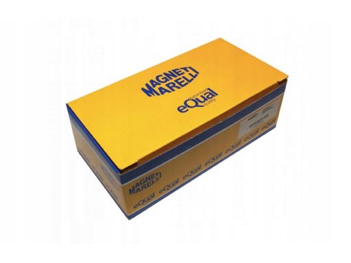 519700000210 Elektryczna Pompa Paliwa (Z Filtrem) Pasuje Do: Mini