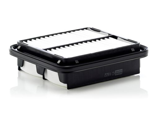 Filtr Powietrza C 1922