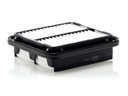 Filtr Powietrza C 1922