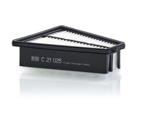 Filtr Powietrza C 21 025