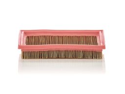 Filtr Powietrza C 2244