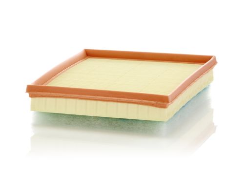 Filtr Powietrza C 24 017