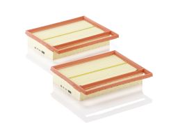 Filtr Powietrza C 25 110-2