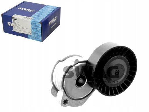 Sw55930146 Napinacz Paska Wielorowkowego Pasuje Do: Volvo S60 Ii, S80