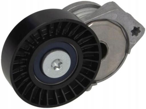 Sw55930146 Napinacz Paska Wielorowkowego Pasuje Do: Volvo S60 Ii, S80