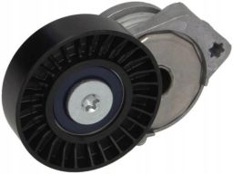 Sw55930146 Napinacz Paska Wielorowkowego Pasuje Do: Volvo S60 Ii, S80