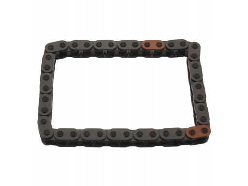 Sw99133691 Łańcuch Rozrządu (Liczba Ogniw: 40) Pasuje Do: Ds Ds 4, Vol