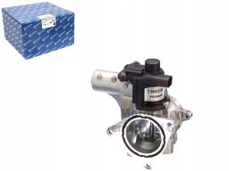 Zawór Egr 7.00823.06.0