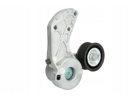 534 0307 10 Napinacz Paska Wielorowkowego Pasuje Do: Audi Q7, Ford Mon