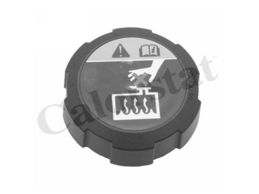 Korek Zbiorniczka Wyrównawczego Płynu Rc0200