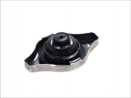 Korek Chłodnicy 311.353