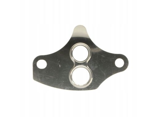 Uszczelnienie Zaworu Egr 876.870