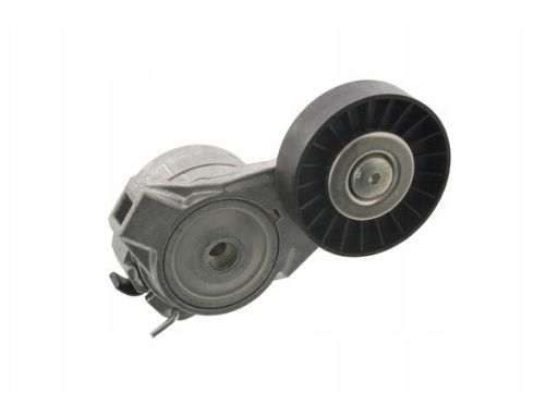 Fe19484 Napinacz Paska Wielorowkowego Pasuje Do: Saab 9-3, 9-5 1.8-2.3