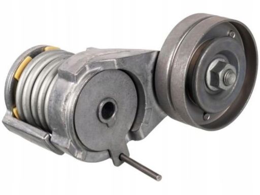 Fe23558 Napinacz Paska Wielorowkowego Pasuje Do: Seat Leon, Toledo Ii,