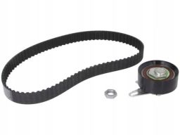 Zestaw Paska Rozrządu 530 0202 10