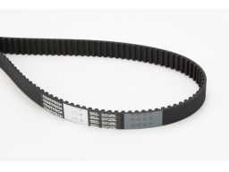 Pasek Rozrządu Ct1155