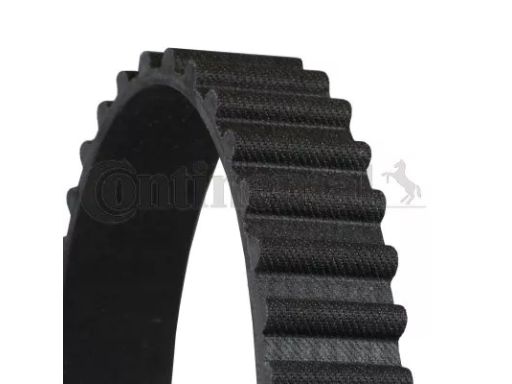 Pasek Rozrządu Ct524