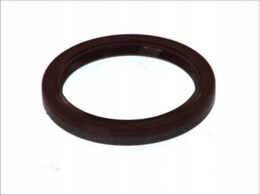 Uszczelniacz Wału Korbowego 419.730