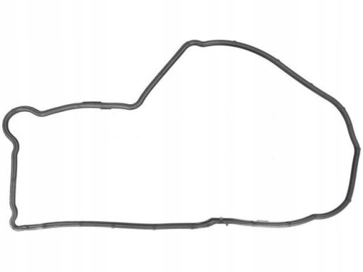 Uszczelka Pokrywy Rozrządu 469.280