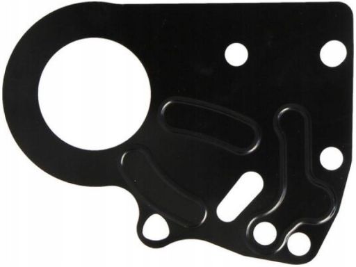 Uszczelka Osłony Rozrządu 876.510