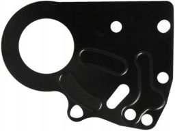 Uszczelka Osłony Rozrządu 876.510