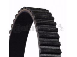 Pasek Rozrządu Ct955