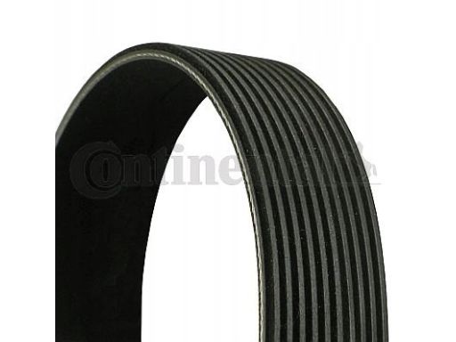 Pasek Wieloklinowy 10Pk1675