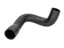 Wąż Chłodnicy 19601