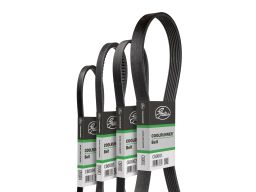 Pasek Wieloklinowy Cb0005