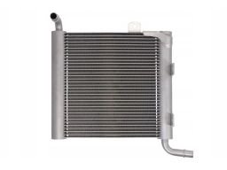 Chłodnica Silnika 550176