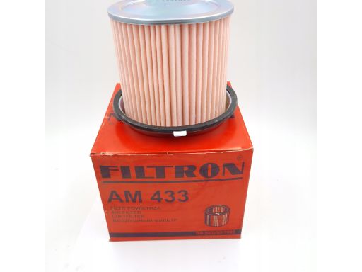 Filtr Powietrza Am 433
