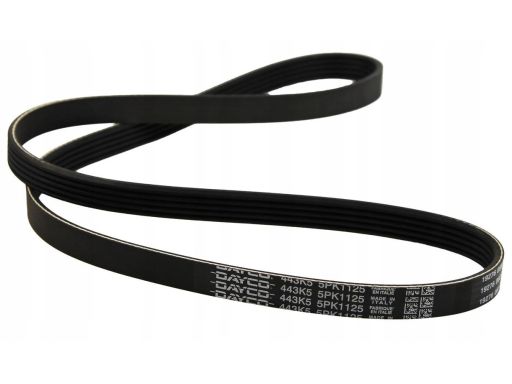 Pasek Wieloklinowy 5Pk1125