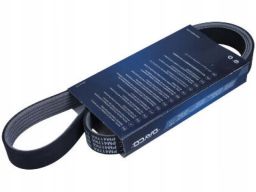 Pasek Wieloklinowy 6Pk1059Pm