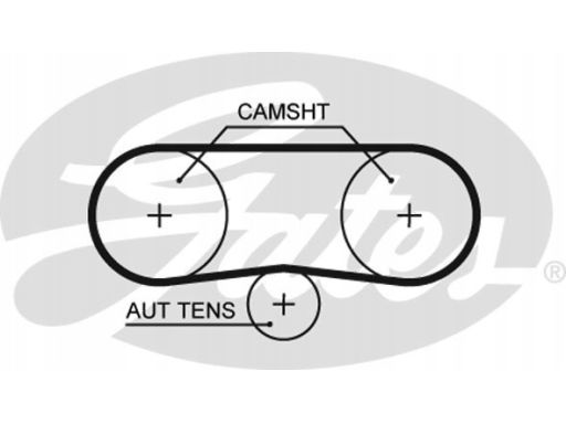 Pasek Rozrządu 5516Xs