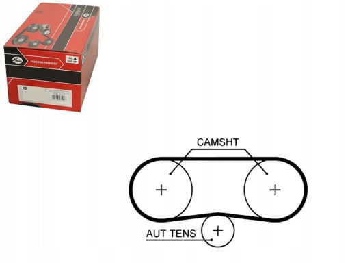 Pasek Rozrządu 5516Xs