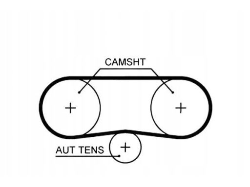 Pasek Rozrządu 5516Xs