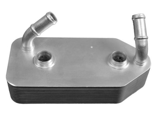 Chłodnica Oleju 31186