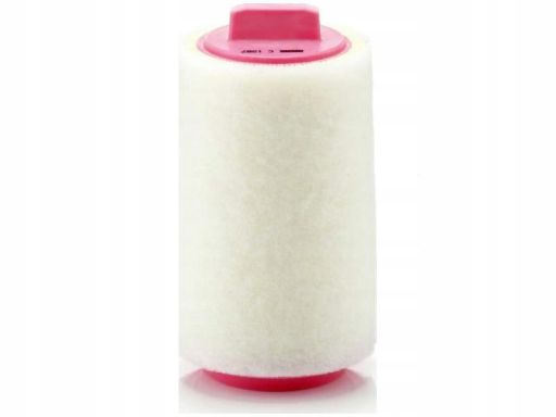 Filtr Powietrza C 1287