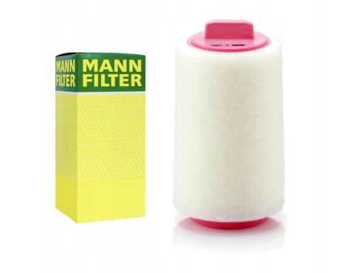 Filtr Powietrza C 1287