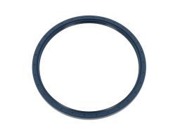 Uszczelniacz Wałka Atakującego 01019887B