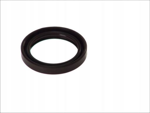 Uszczelniacz Wału Korbowego 12013859B